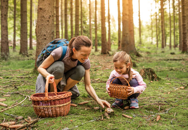 istock Mother and daughter picking mushrooms in the forest. 2184609263