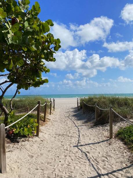 istock Walk out to the beach in Miami 2184609996