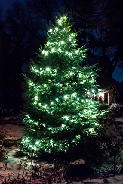 istock Christmas house decorations in Canada 2184616282