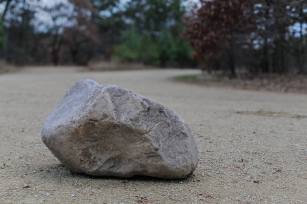istock abstract large sedimentary boulder on ground with park forest in background 2184618991