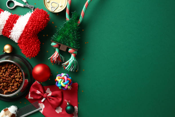 istock Festive pet accessories on a green background, including a striped pet bone, Christmas tree chew toy, pet food bowl, Christmas ornaments. Perfect for holiday pet care and celebrations 2184620309