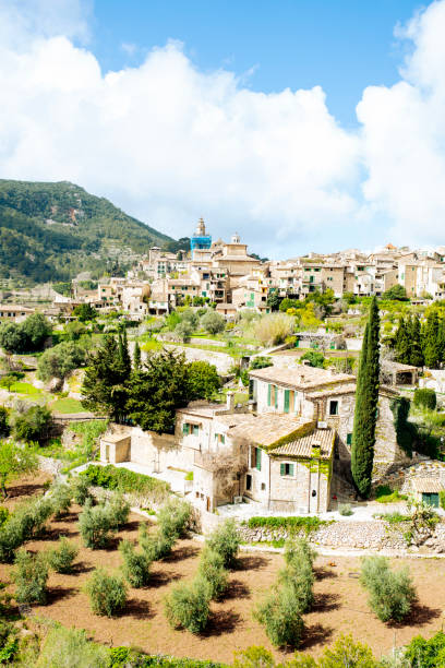 Summer nature of Majorca