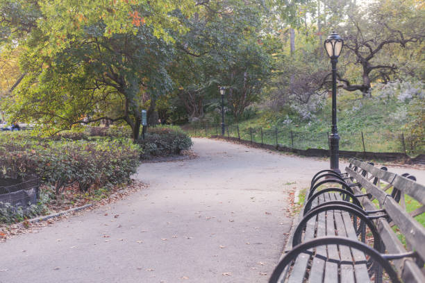 istock Park Benches in Central Park on an Autumn Day 2184621110