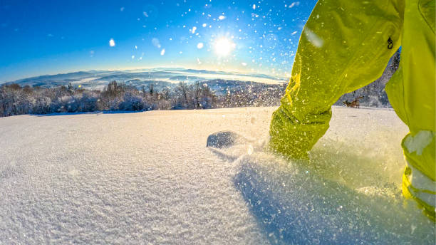 istock LOW ANGLE: Snowboarder rides fresh powder snow accompanied by adorable dog. 2184625534