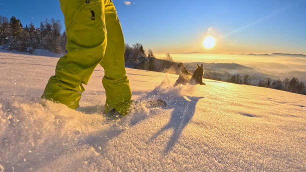 istock POV, LENS FLARE: Splitboarder and dog during a descent down the snowy mountain 2184625990