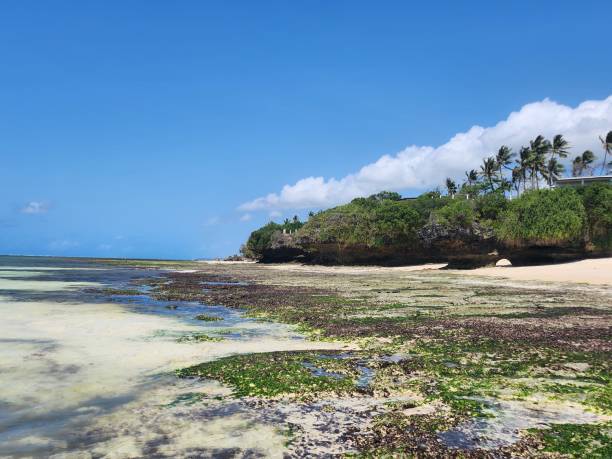 istock A panorama of the beach in Kenya. 2184626391