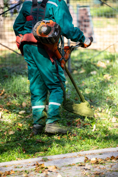 istock A landscaper trims grass using a string trimmer in a park during daytime, showcasing seasonal maintenance efforts in the greenery 2184627912