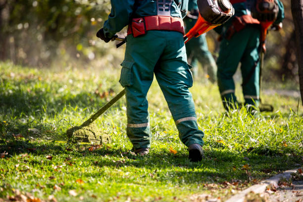 istock Workers trimming grass in a park area during a sunny afternoon using garden tools and equipment 2184627985
