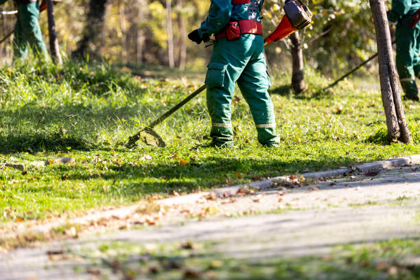 istock Workers trimming grass and maintaining landscaping in a park on a sunny day with vibrant greenery surrounding them 2184628183