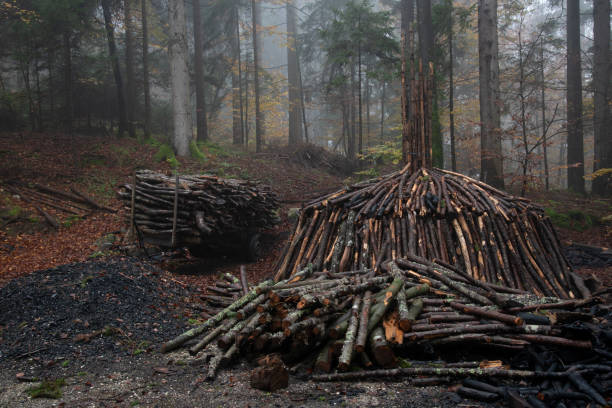 istock Charcoal pile burning in misty forest setting with stacked firewood 2184628195