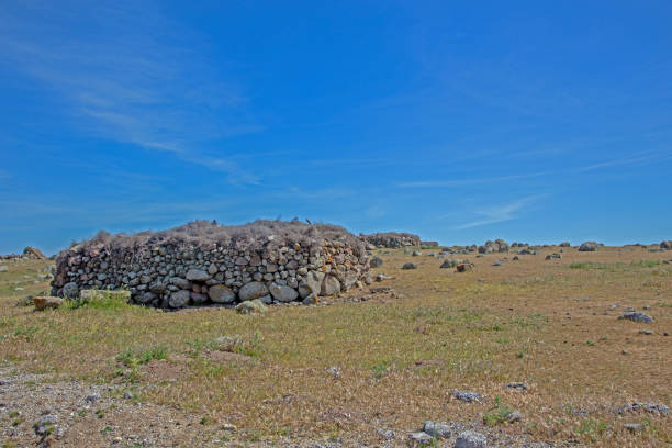 Ancient stone feed warehouses perched on the plateau of Mount Ida, Aegean Turkey, standing as a testament to the region's rich agricultural and architectural heritage. Surrounded by a serene landscape and bathed in bright summer light, these historical structures blend seamlessly into the natural beauty of the plateau.