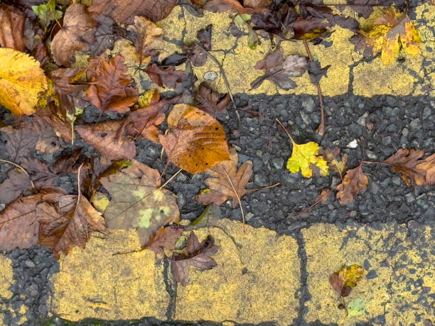 istock from above roadside double yellow lines obscured by fallen autumn leaves 2184629447
