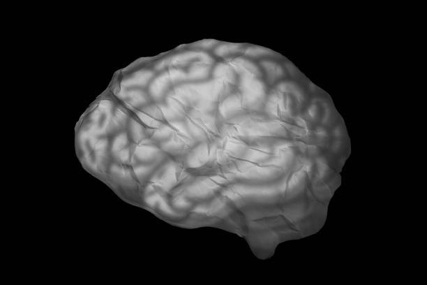 Crumpled Paper Shaped Like a Human Brain on Black Background.