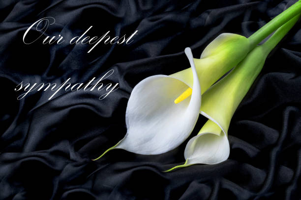 istock photo of white flowers on background 2184630277