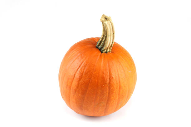 istock new picked pumpkin isolated on white background 2184633263
