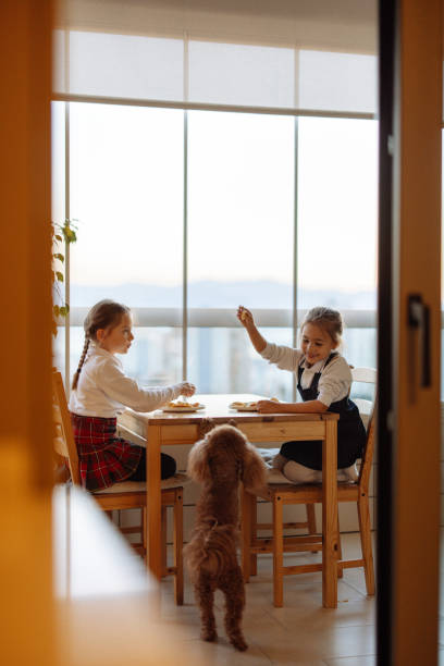 istock Happy little girls enjoying at dinner 2184634813