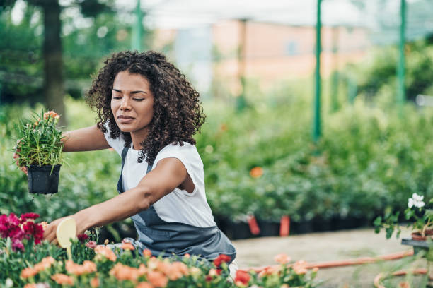 istock Garden center worker arranging potted flowers 2184637206
