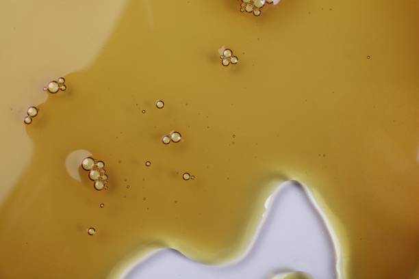 istock Petri dish with color liquid sample, closeup 2184641183