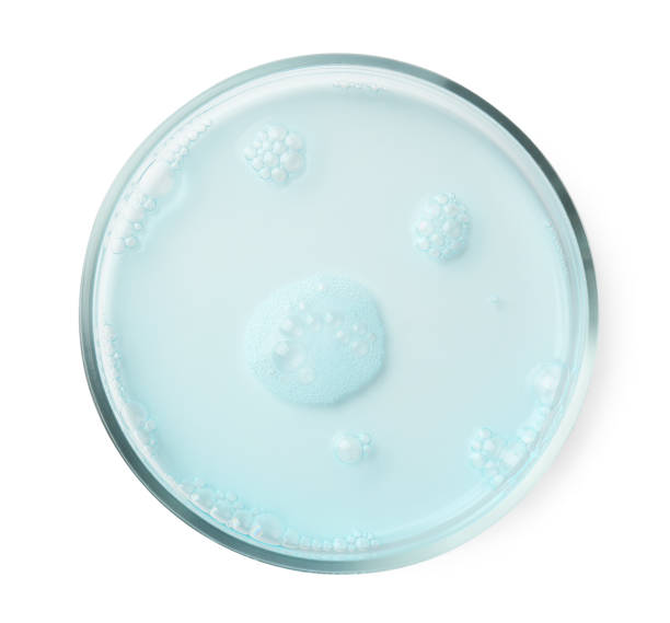 istock Petri dish with light blue liquid sample on white background, top view 2184641209