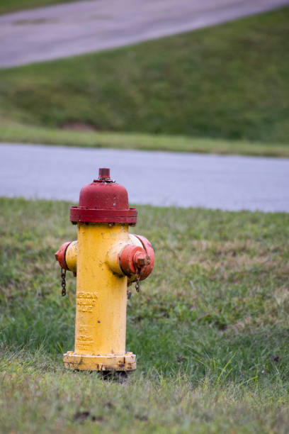 fire hydrant in the grass near a street, used for fire fighters to get water to a fire emergency quickly