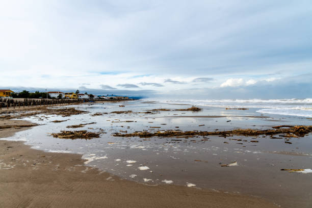 Expansive sandy beach with driftwood, wet patches reflecting clouds, and gentle waves near coastal homes and protective dunes.