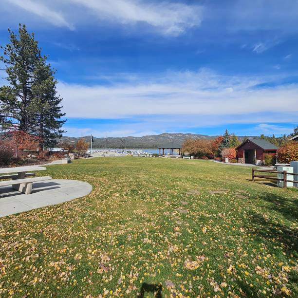 istock Nature at Big Bear Lake 2184652918