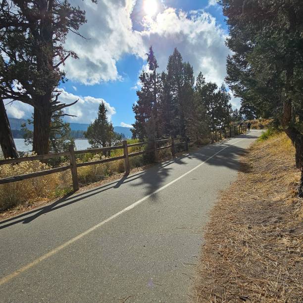 istock Nature at Big Bear Lake 2184653001