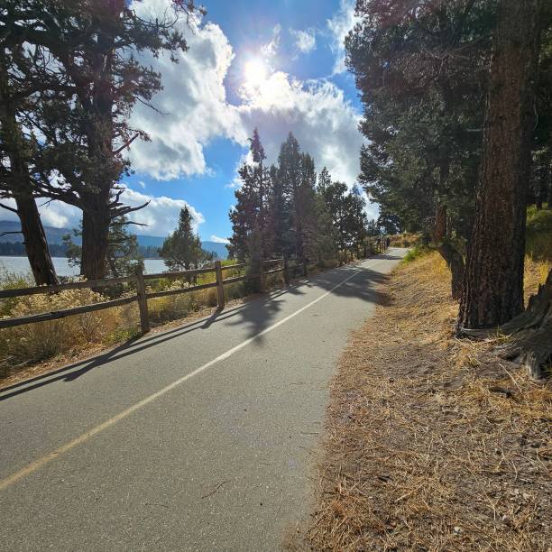 istock Nature at Big Bear Lake 2184653004