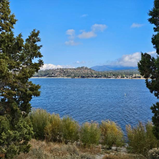 istock Nature at Big Bear Lake 2184653027