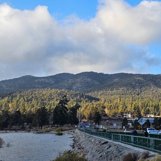 istock Nature at Big Bear Lake 2184653108