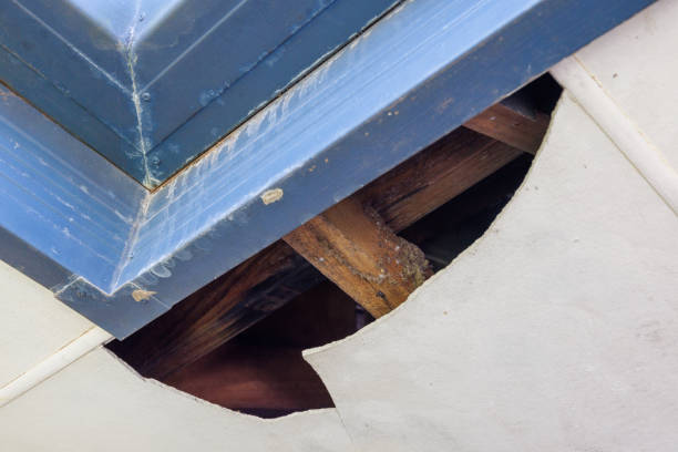 istock Damaged eaves on residential house 2184657259