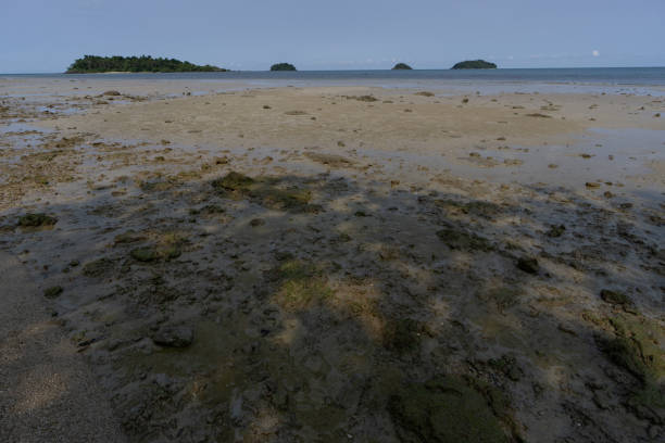 istock Sandy tropical coastline and beaches with blue sky 2184659409