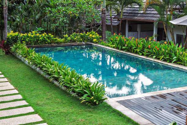 istock A bright swimming pool with crystal-clear water, surrounded by lush greenery, tropical plants, and pathways, creating a paradise-like atmosphere 2184659776
