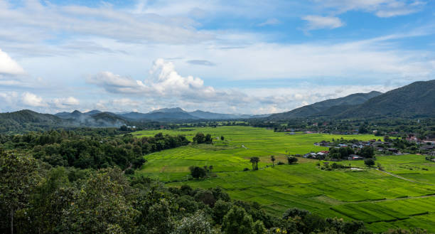 istock Agriculture green rice field with mountain under blue cloudy sky background. 2184662309