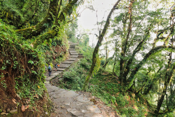 istock Himalayan trekking trails,Paiya village,Nepal 2184668272