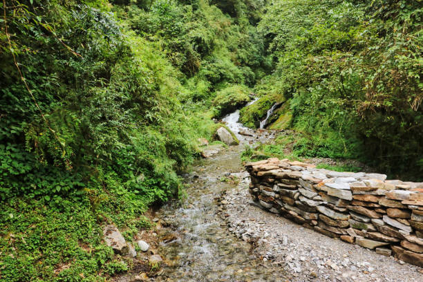 A trail along the lower himalayan ranges winds its way  towards the village of Pangom,near Lukla, on route to the  Base camp of Mera Peak,a 6476 meter high peak in the Khumbu Himalayas,Nepal