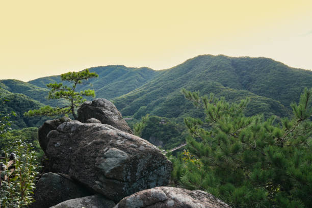 istock A mountain range with a bridge over a road. The trees are green and lush 2184669483