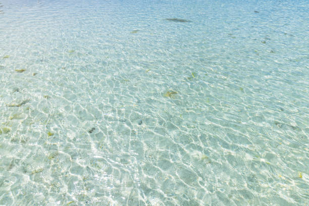 Kondoi Beach, Taketomi Island, Okinawa Prefecture