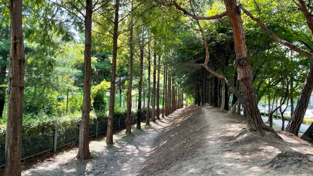 istock Walking trail in the city center 2184680835
