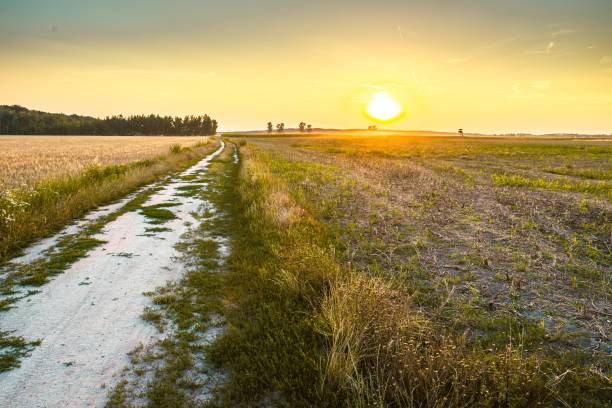 istock Sunset over a rural landscape with a dirt road. 2184682145
