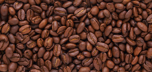 Roasted coffee beans laid out and photographed from above