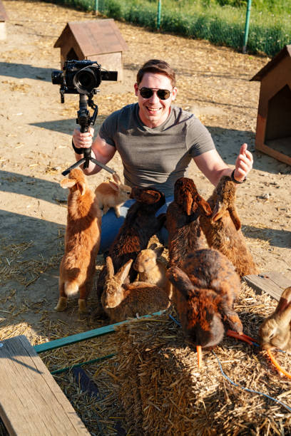 istock A man films adorable rabbits while kneeling in a sunny farmyard 2184692916