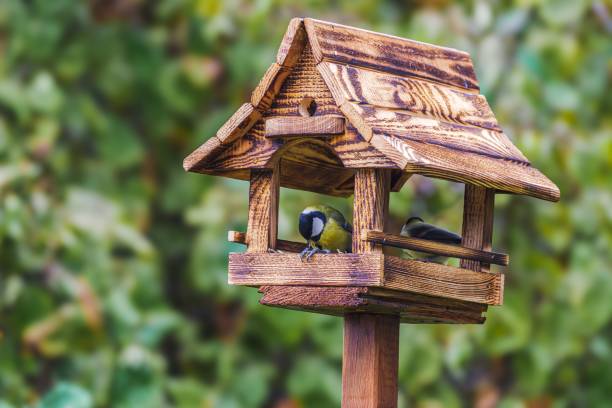 istock Wooden birdhouse with birds 2184703380