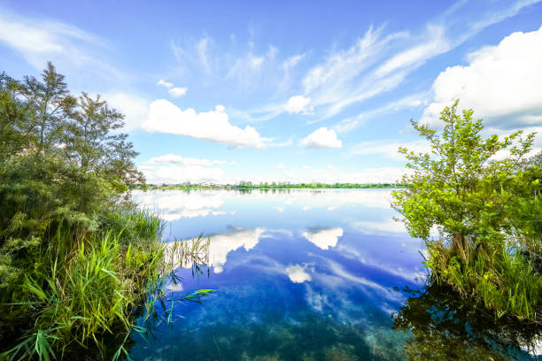 istock Landscape at the Feilenmoos local recreation area. Bathing lake between Manching and Geisenfeld. Nature at the quarry lake. 2184705871