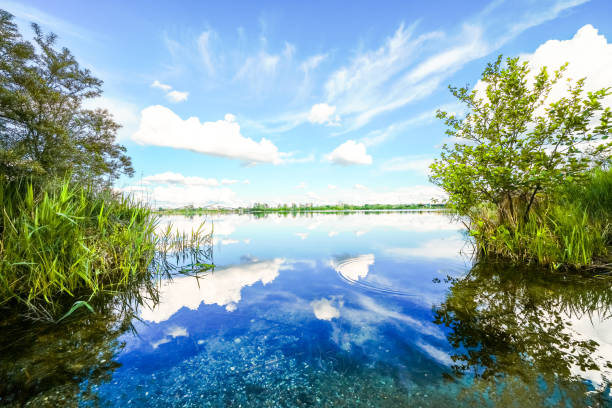 Landscape at the Feilenmoos local recreation area. Bathing lake between Manching and Geisenfeld. Nature at the quarry lake.