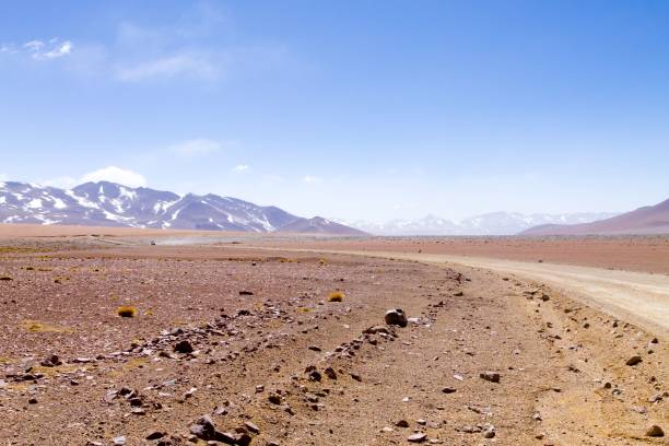 istock Desert landscape with distant snowy mountains. 2184709512
