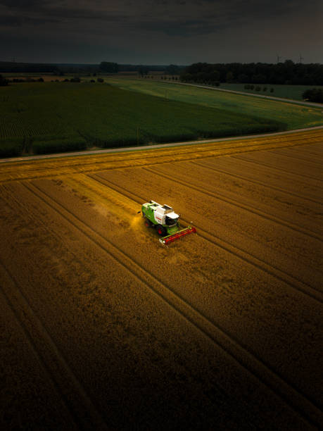istock Harvester on golden field 2184711737