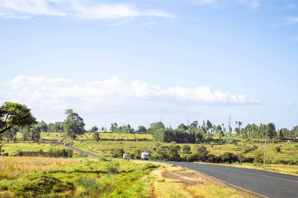 A country side road  on a clear sky day on the summer
