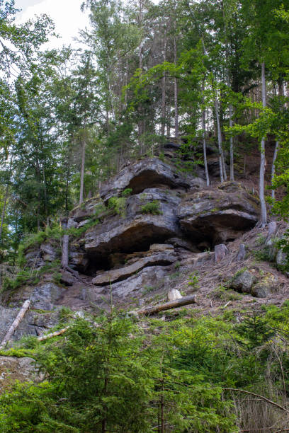 istock giant stones in a forest with dry trees 2184724785