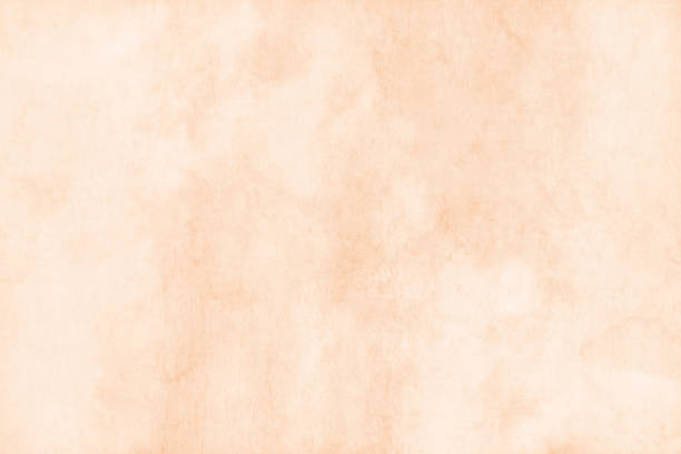 istock Empty blank bright light matte brown beige fawn nude coloured grunge textured weathered horizontal rustic smudged patchy vector vintage backgrounds with retro style faded texture, uneven smudges and brush strokes with copy space 2184724983